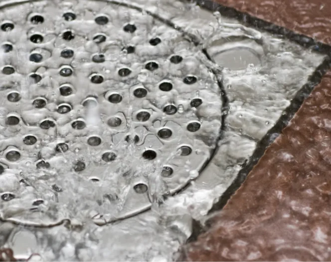 Image Content Frame 1